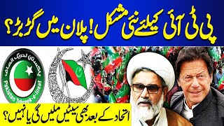 PTI Led IND MNAs to Join MWM | But There is a Twist ! Interesting Facts | Election 2024 Results