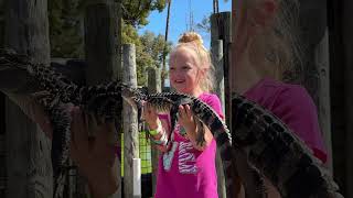 Petting a Baby Alligator🐊for the first time !💚 #zoo #short #shorts #reptiles #alligator #kids #fun