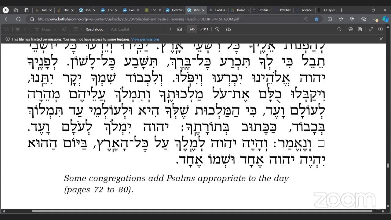 Torah Portion MIshpatim Study - YouTube