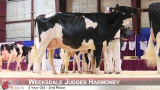 4 Year Old - Holstein Canada National Convention 2015