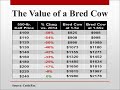 2017 beef industry outlook