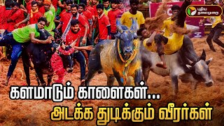 🔴LIVE: Palamedu Jallikattu live | களமாடும் காளைகள்... அடக்க துடிக்கும் வீரர்கள் | Jallikattu 2025