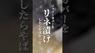 年末大掃除🧹5年間洗ってない⁉️ソファーカバーをリネ漬けしたらヤバかった…🥶#shorts #洗濯 #ソファーカバー #リネ漬け #大掃除 #汚水 #つけ置き #rinenna