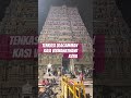 tenkasi ulagamman kovil tenkasi tenkasinews tenkasi360 trending shortvideo travel vlog