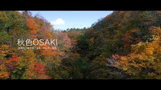 秋色OSAKI  宮城県大崎市鳴子温泉の紅葉めぐり