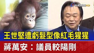 王世堅遭虧髮型像紅毛猩猩 蔣萬安：議員較陽剛