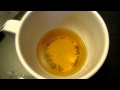 How To Get Rid of Fruit Flies and Gnats Fast!!!