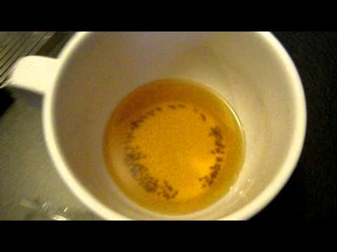 How To Get Rid of Fruit Flies and Gnats Fast!!! How To Get Rid of Fruit Flies and Gnats Fast!!!