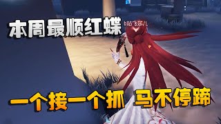 第五人格：大帅观战：本周最顺红蝶！一个接一个抓，马不停蹄