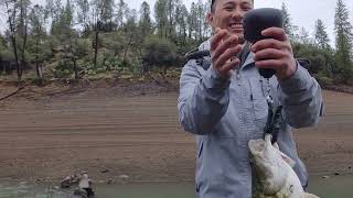 creek fishing for Giants. Shasta lake