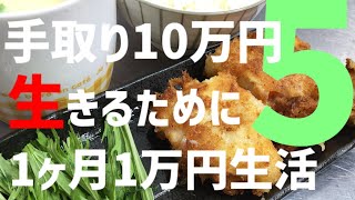 【節約生活⑤】手取り10万になったから節約料理で一人暮らし