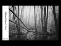 Diffused Signal - Svas (Original Mix) [BRA005]