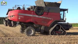 Massey Ferguson 9380 Delta combine op tracks in Duitsland Trekkerweb