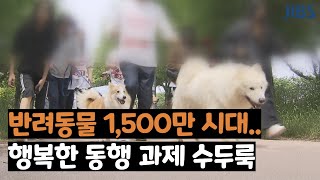 반려동물 1,500만 시대..행복한 동행 과제 수두룩 /  JIBS / 제주 / 2022.05.09