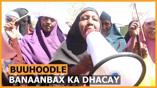 Banaanbax Ka Dhacay Buuhoodle