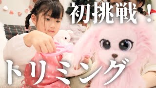 【初挑戦】5歳女子！ワンちゃんのトリミングしてみた！トリミングペットサロン【ヘアカット】