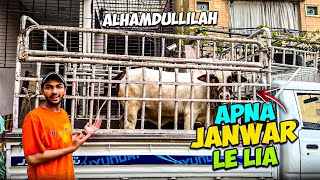 finally Apna Janwar le liya 🐂😍 | unloading Bhi Karva Di