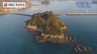 海に浮かぶ城跡を思わせるような無人島　知られざるその歴史は【長崎ばーどアイ】