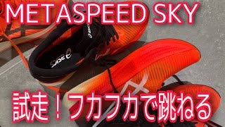 【試走】asics「METASPEED SKY」フルカーボンでそれをサポートする。FFターボ