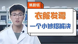 衣服發黴別再送去洗衣店了！教你一個小妙招，成本極低輕鬆解決【姚蔚銘】