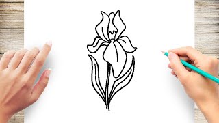 How To Draw Iris Flower Step by Step