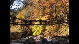 奥祖谷二重かずら橋　四国周遊３泊4日