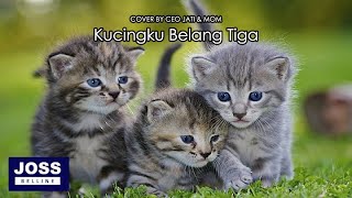 Terbaru || Lagu Kucingku Belang Tiga || Vocal by Ceo Jati \u0026 Mom