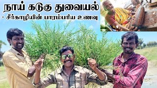 நாய் கடுகு துவையல் - சீர்காழி பாட்டியின் பாரம்பரிய உணவு | Naai Kadugu Thuvaiyal | CLEOME VISCOSA