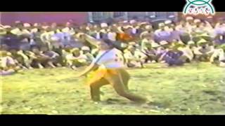 佳里女神龍 春桃鶴1982年，西港香開館 Kung Fu