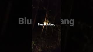 berburu kijang malam hari