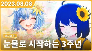 【강단해 다시보기 ▶23.08.08】 【3주년 24h 방송】 (0부 울기)