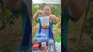 #โต๊ะปลูกผัก #เกษตรอินทรีย์ #shortsviral #ผักสลัด #gerden