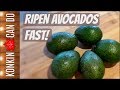 Fastest Way to Ripen Avocados - 5 Hacks Tested & Reviewed