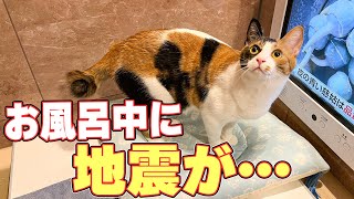 猫とお風呂に入っていたら地震が発生して猫が大逃走しました…