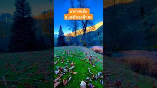 วิวหลักล้านบ้านฝรั่งนอกเมืองลมหนาวมาอากาศเย็น   #autumn #shortvideo #เที่ยวนอกออกใน