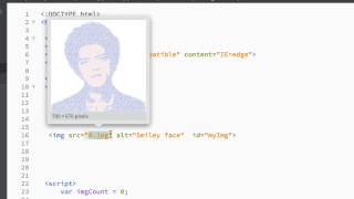 Javascript Slideshow Quick & Easy