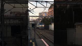 EF66 貨物列車通過　府中本町駅にて