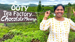 ఊటీ టీ చాక్లెట్ ఫ్యాక్టరీ చూద్దాం రండి || Ooty tea chocolate Factory || Best places to visit in Ooty