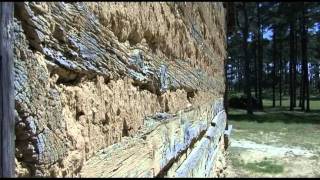Video Tour of Alamance County, NC