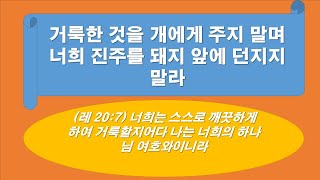 거룩한 것을 개에게 주지 말며 너희 진주를 돼지 앞에 던지지 말라