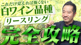 これでワインは怖くない！白ワイン品種完全攻略「リースリング」知ればより楽しくなる！