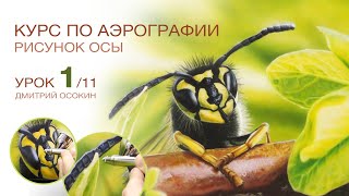 Рисунок осы. Ч 1/11. Курс по аэрографии. Дмитрий Осокин - уроки. Аэрография.