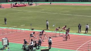 1部男子110mH 決勝