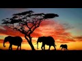 African Music / African Conga Drums / Traditional African Drum Music