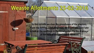 Weaste Allotments 25 02 2016