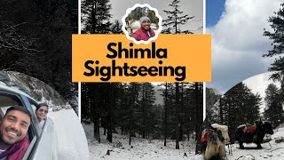 Shimla Tourist Places | Shimla Sightseeing| Kufri #shimla #travel #explore #adventure #fun #vlog