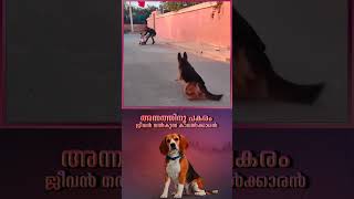 Dog Training section saving child | Trained Dog | നായ | പട്ടി | कुत्ता நாய் Most trusted pet animal