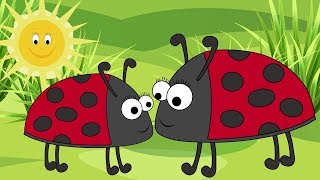 Ladybird Ladybird, Fly Away Home! Nursery Rhyme for Babies and Toddlers from Sing and Learn