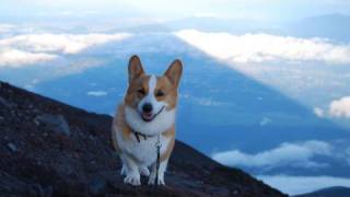 Goro climbed Mt.Fuji. / 富士山登山 20090804