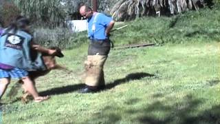 Extra - 6 month old Malinois beginning bitework